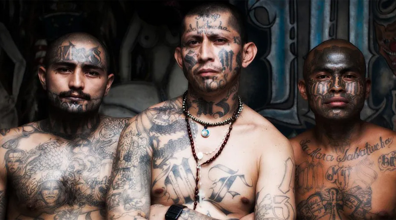 Mexican Gang