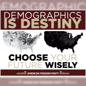 "Demographics Is Destiny" Poster