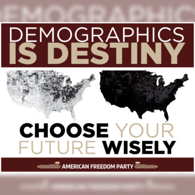 "Demographics Is Destiny" Poster