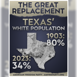 "The Great Replacement: Texas" Poster