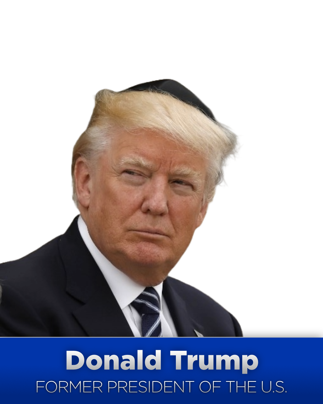 leadership-american-freedom-party